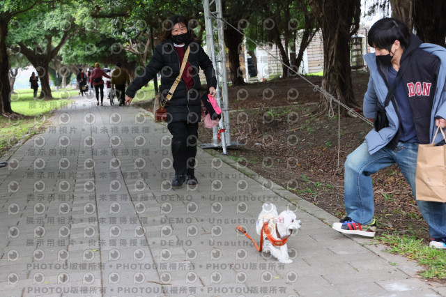 2024第六屆奔跑吧!毛小孩公益路跑