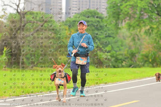 2024第六屆奔跑吧!毛小孩公益路跑