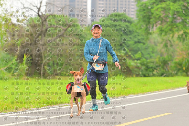 2024第六屆奔跑吧!毛小孩公益路跑