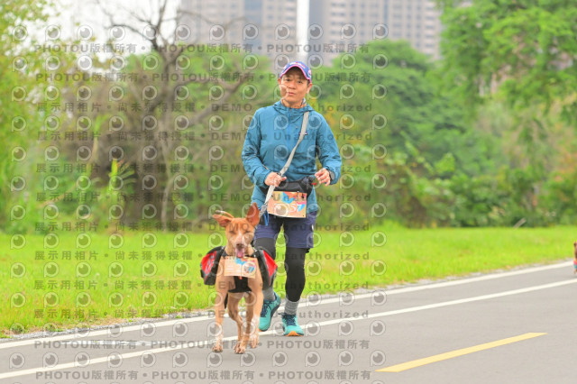 2024第六屆奔跑吧!毛小孩公益路跑