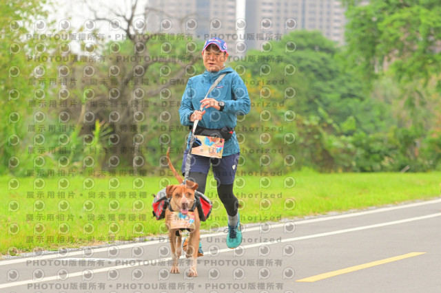 2024第六屆奔跑吧!毛小孩公益路跑