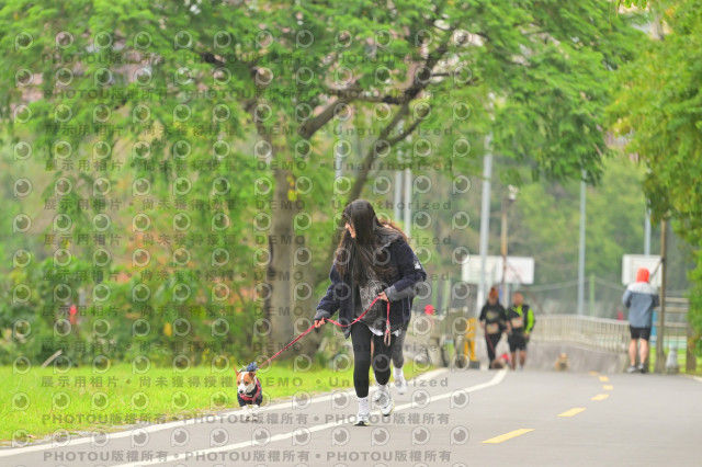2024第六屆奔跑吧!毛小孩公益路跑