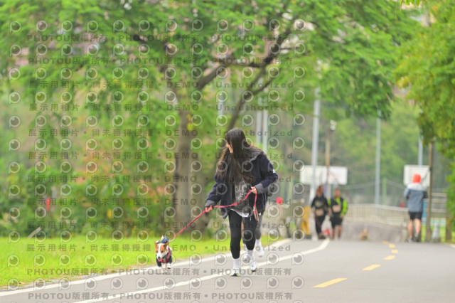 2024第六屆奔跑吧!毛小孩公益路跑