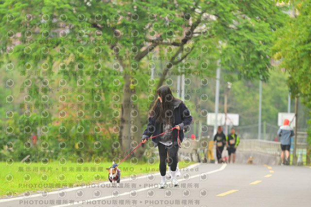 2024第六屆奔跑吧!毛小孩公益路跑