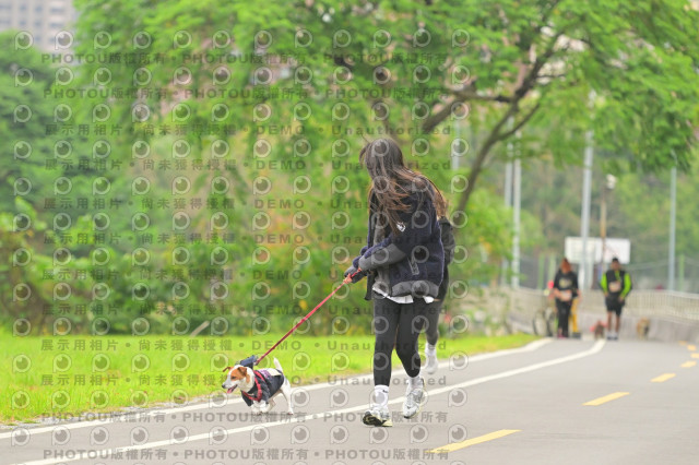 2024第六屆奔跑吧!毛小孩公益路跑