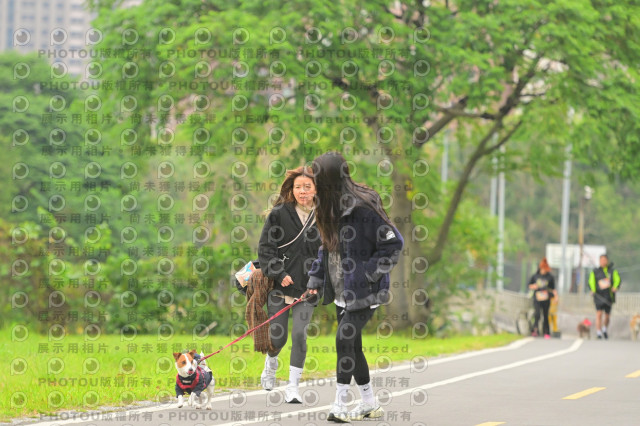2024第六屆奔跑吧!毛小孩公益路跑