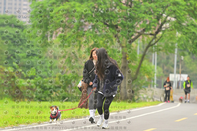 2024第六屆奔跑吧!毛小孩公益路跑
