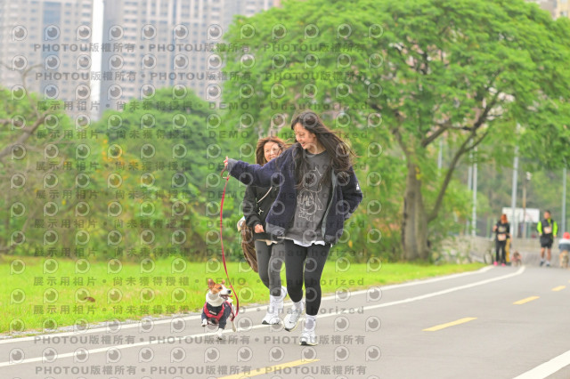 2024第六屆奔跑吧!毛小孩公益路跑