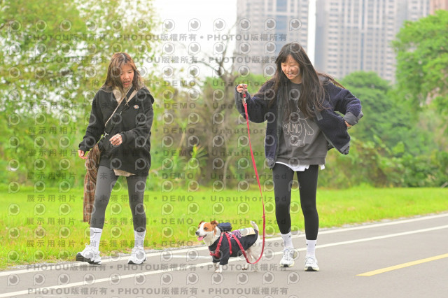 2024第六屆奔跑吧!毛小孩公益路跑