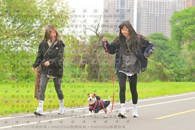 2024第六屆奔跑吧!毛小孩公益路跑