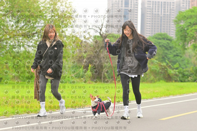 2024第六屆奔跑吧!毛小孩公益路跑