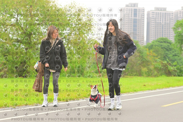 2024第六屆奔跑吧!毛小孩公益路跑