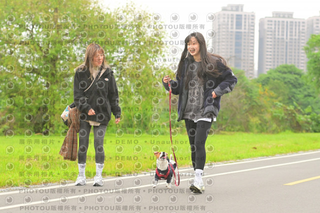 2024第六屆奔跑吧!毛小孩公益路跑