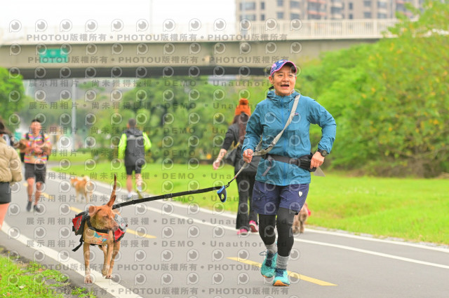 2024第六屆奔跑吧!毛小孩公益路跑