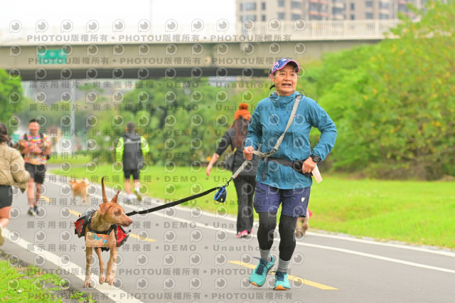 2024第六屆奔跑吧!毛小孩公益路跑