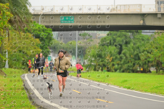 2024第六屆奔跑吧!毛小孩公益路跑