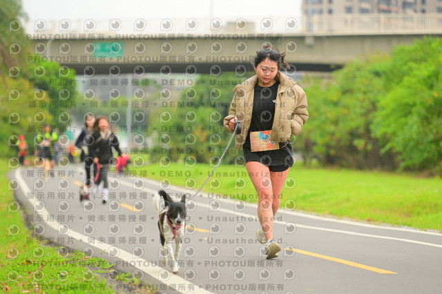 2024第六屆奔跑吧!毛小孩公益路跑