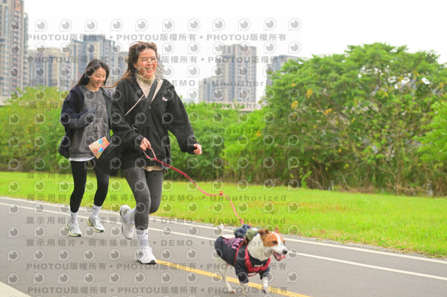 2024第六屆奔跑吧!毛小孩公益路跑