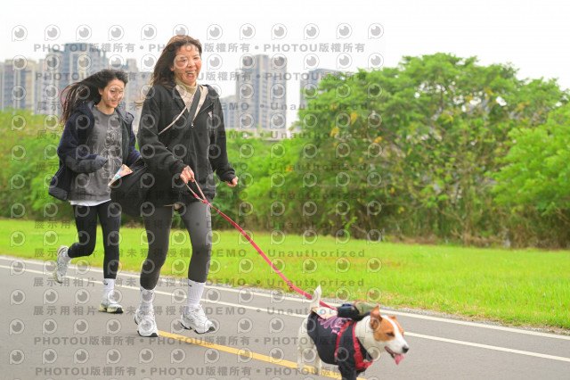 2024第六屆奔跑吧!毛小孩公益路跑