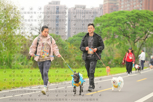 2024第六屆奔跑吧!毛小孩公益路跑