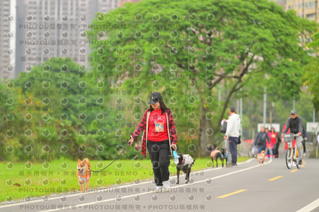 2024第六屆奔跑吧!毛小孩公益路跑