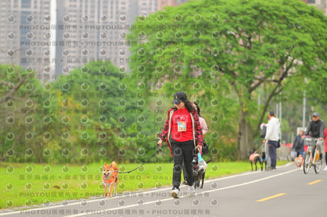 2024第六屆奔跑吧!毛小孩公益路跑