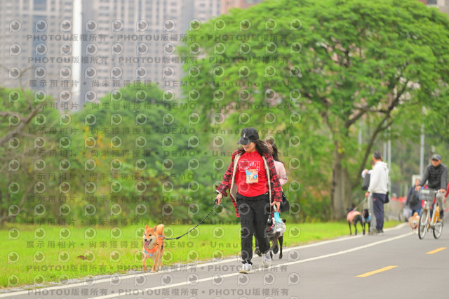 2024第六屆奔跑吧!毛小孩公益路跑