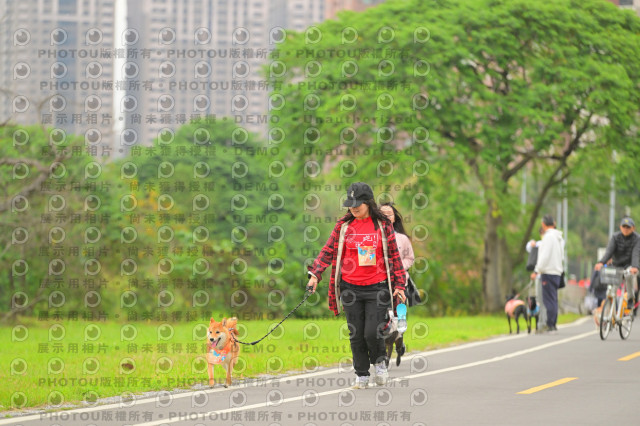 2024第六屆奔跑吧!毛小孩公益路跑