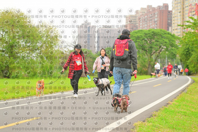 2024第六屆奔跑吧!毛小孩公益路跑