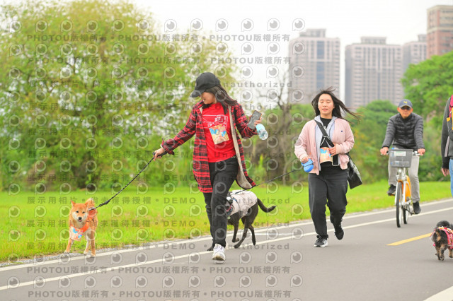 2024第六屆奔跑吧!毛小孩公益路跑