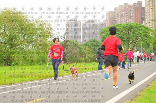 2024第六屆奔跑吧!毛小孩公益路跑