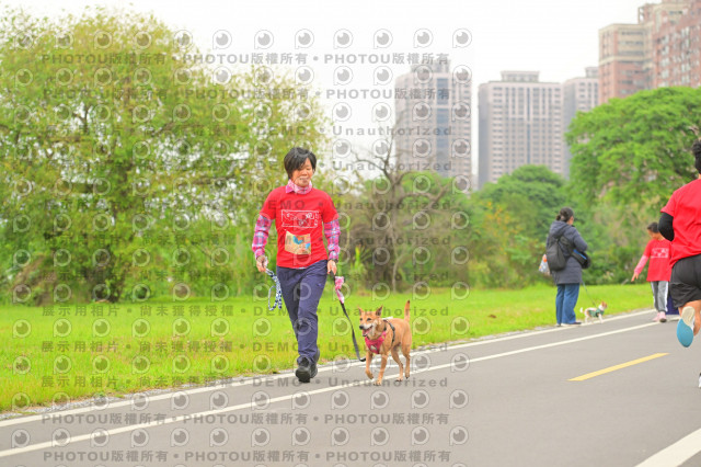 2024第六屆奔跑吧!毛小孩公益路跑