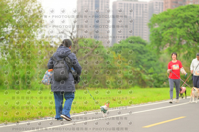 2024第六屆奔跑吧!毛小孩公益路跑