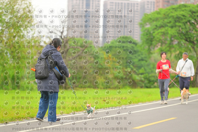 2024第六屆奔跑吧!毛小孩公益路跑