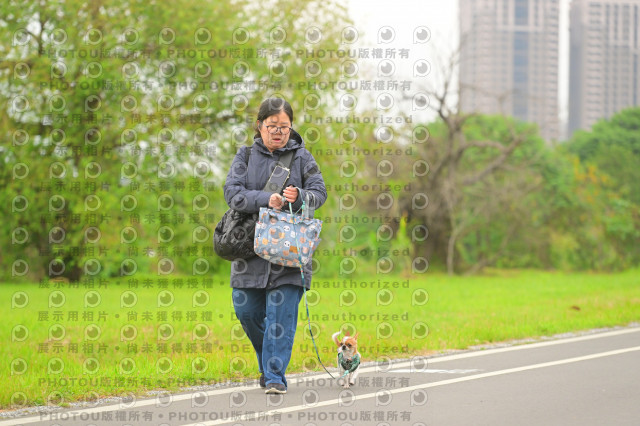 2024第六屆奔跑吧!毛小孩公益路跑