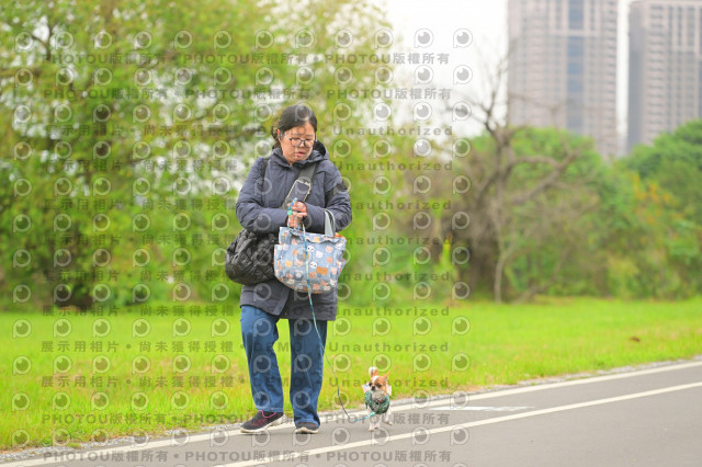 2024第六屆奔跑吧!毛小孩公益路跑