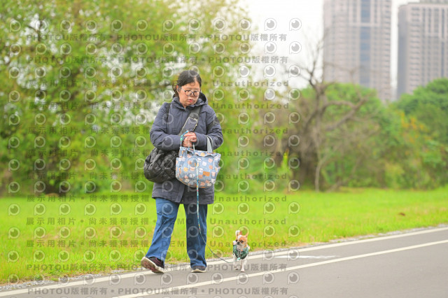 2024第六屆奔跑吧!毛小孩公益路跑