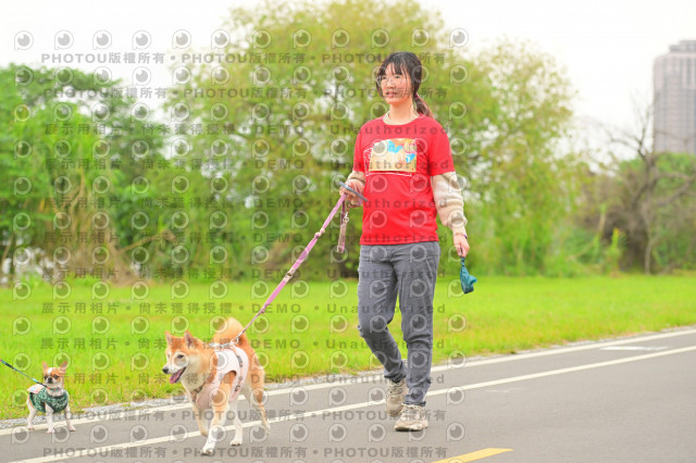 2024第六屆奔跑吧!毛小孩公益路跑