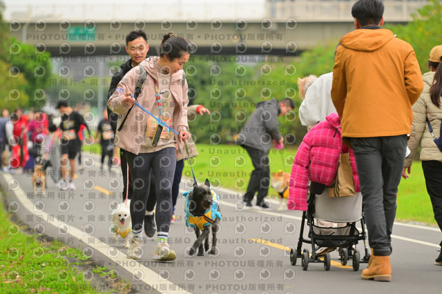 2024第六屆奔跑吧!毛小孩公益路跑