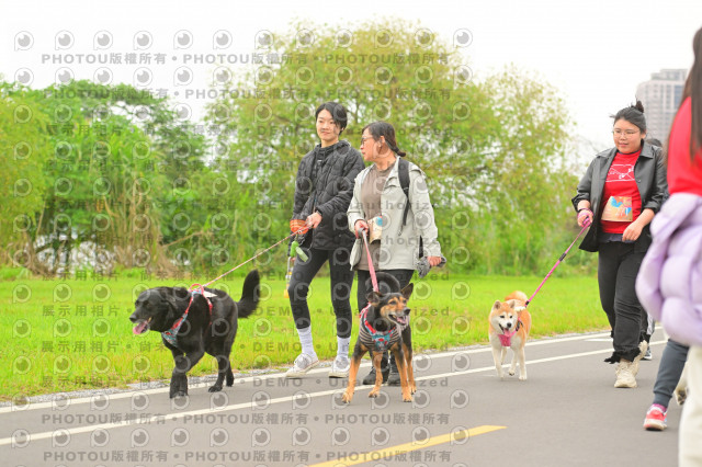2024第六屆奔跑吧!毛小孩公益路跑