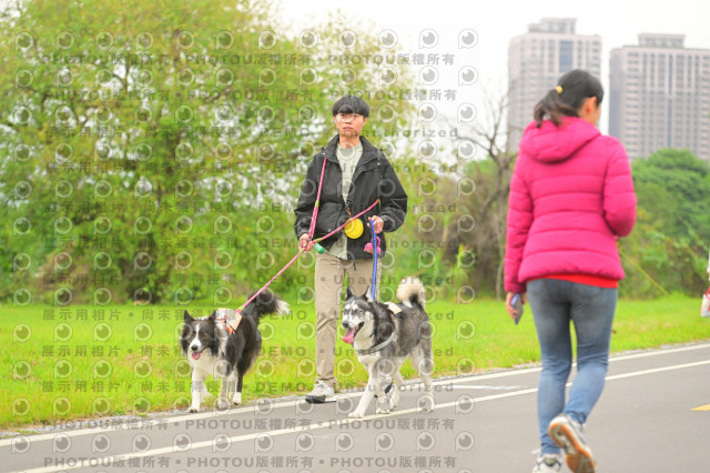 2024第六屆奔跑吧!毛小孩公益路跑