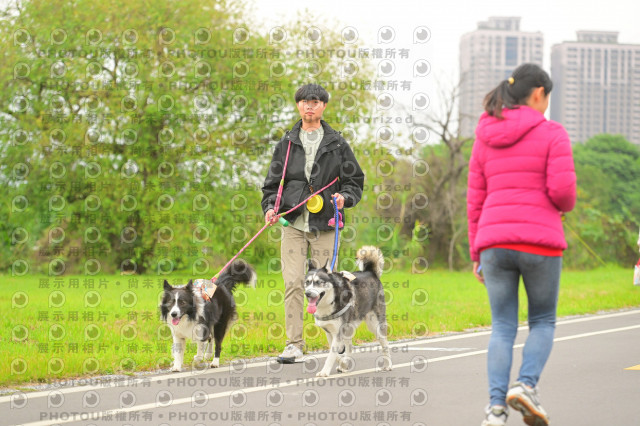 2024第六屆奔跑吧!毛小孩公益路跑
