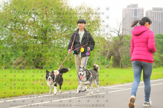 2024第六屆奔跑吧!毛小孩公益路跑