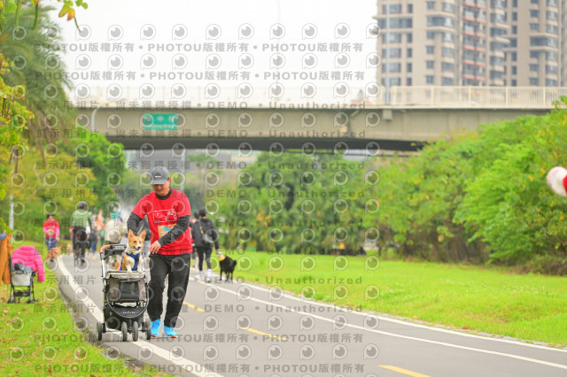 2024第六屆奔跑吧!毛小孩公益路跑