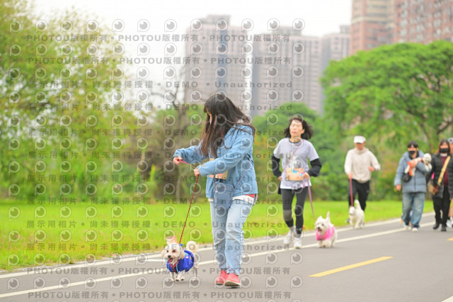 2024第六屆奔跑吧!毛小孩公益路跑