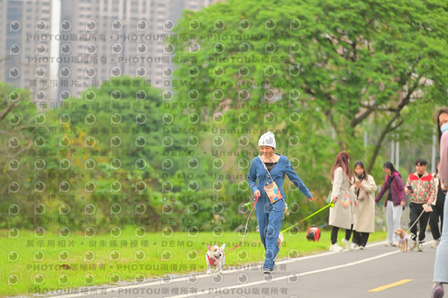 2024第六屆奔跑吧!毛小孩公益路跑