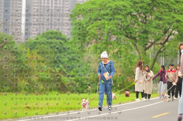 2024第六屆奔跑吧!毛小孩公益路跑