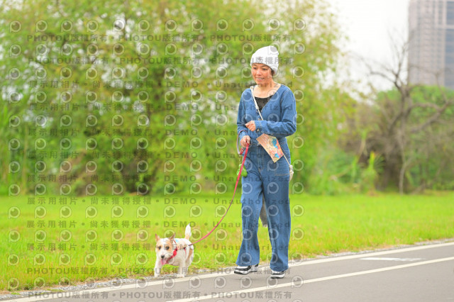 2024第六屆奔跑吧!毛小孩公益路跑
