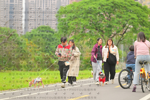 2024第六屆奔跑吧!毛小孩公益路跑