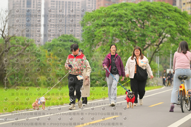 2024第六屆奔跑吧!毛小孩公益路跑